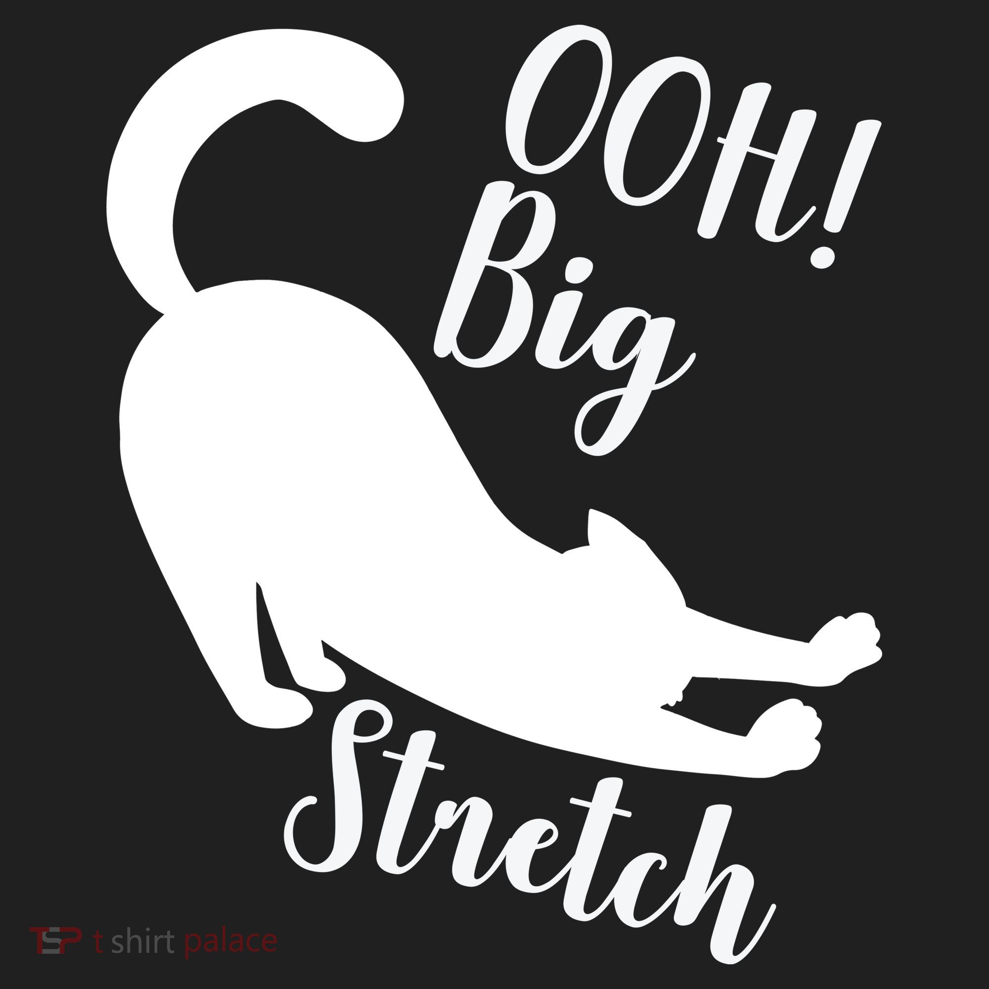 Big Stretch Funny Cat Lover Beanie
