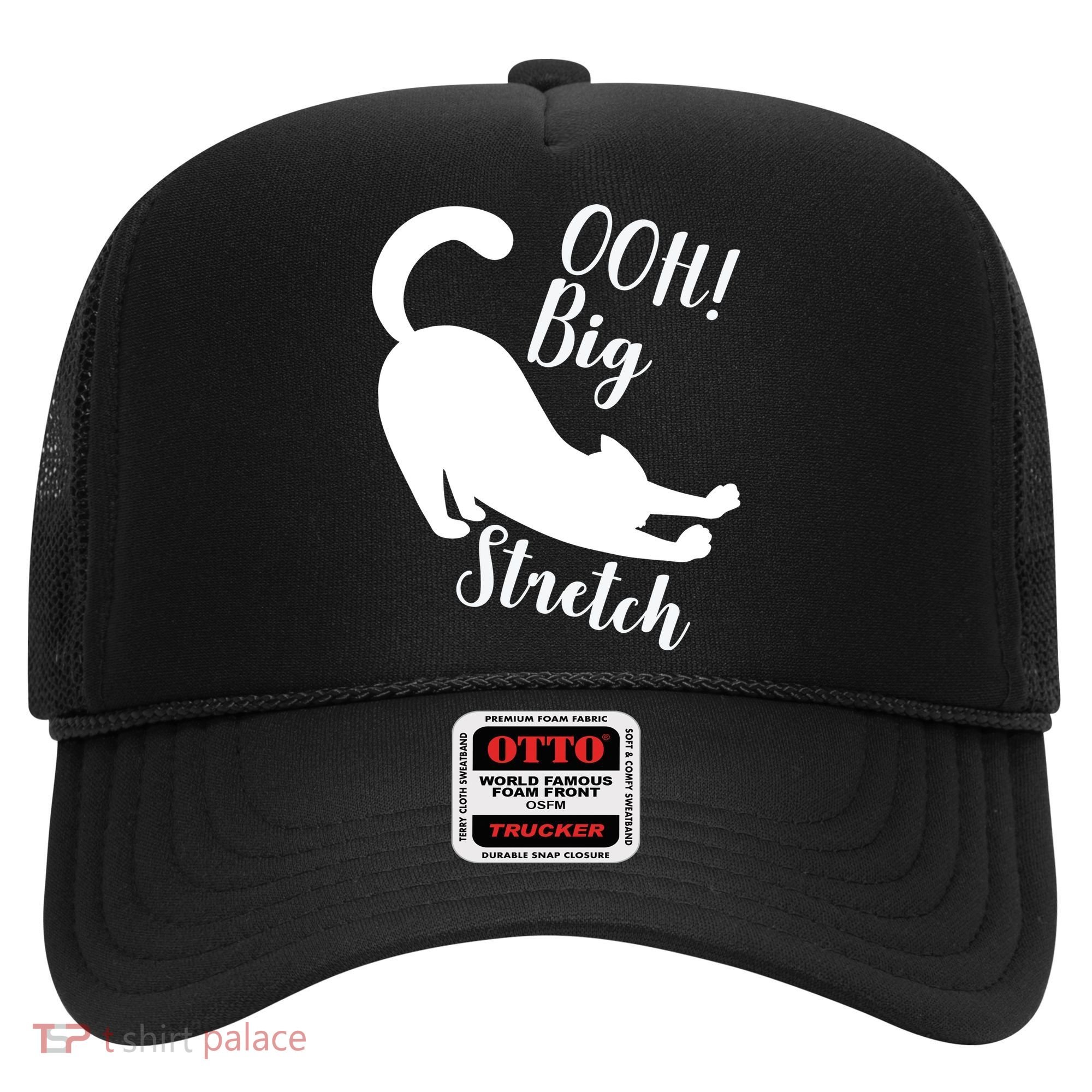 Big Stretch Funny Cat Lover Hat