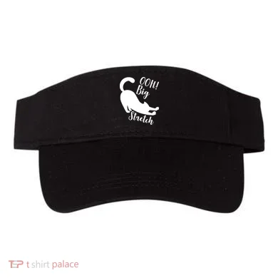 Visor