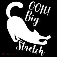 Big Stretch Funny Cat Lover Visor thumb 3