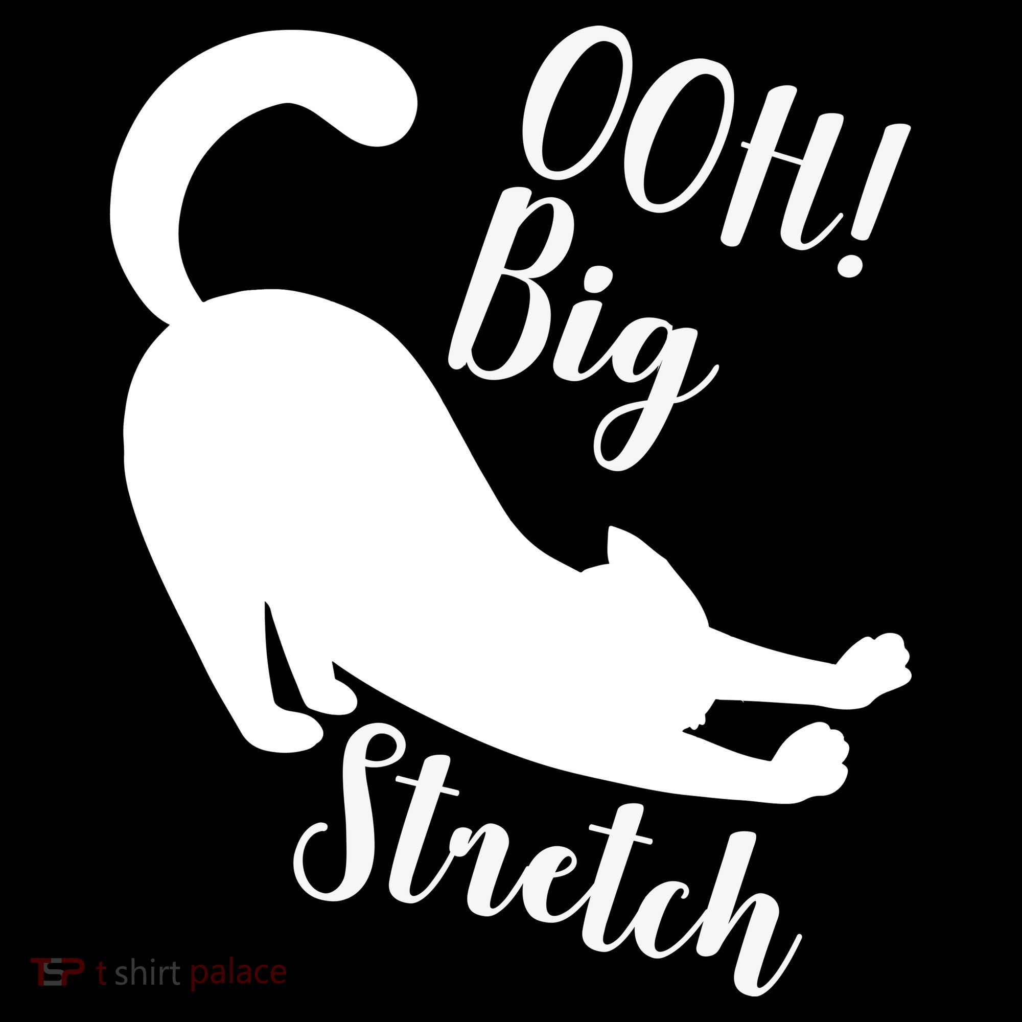 Big Stretch Funny Cat Lover Visor