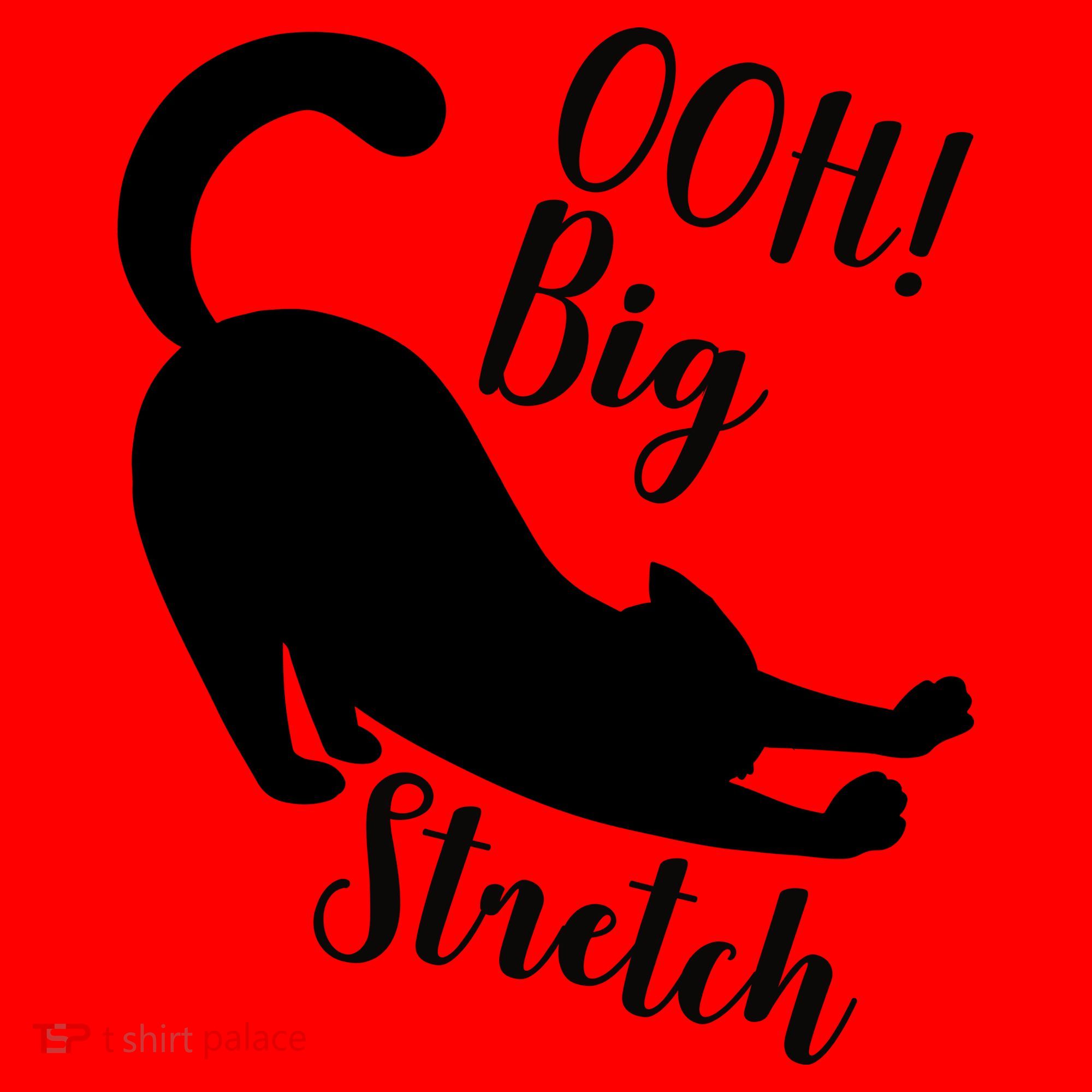 Big Stretch Funny Cat Lover Santa Hat