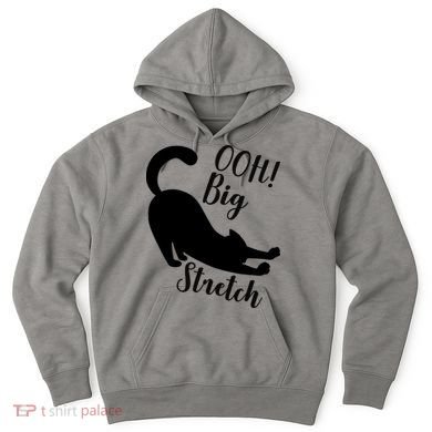 Big Stretch Funny Cat Lover Hoodie
