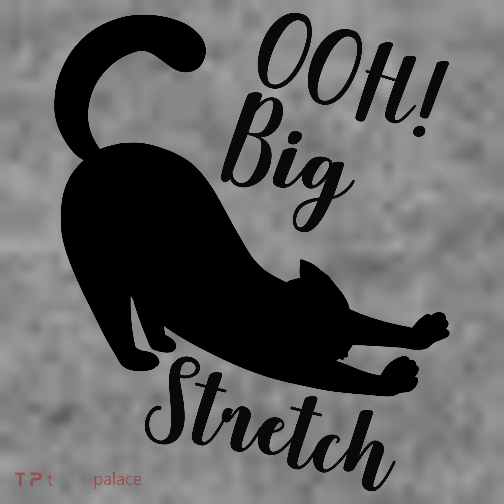 Big Stretch Funny Cat Lover T-Shirt