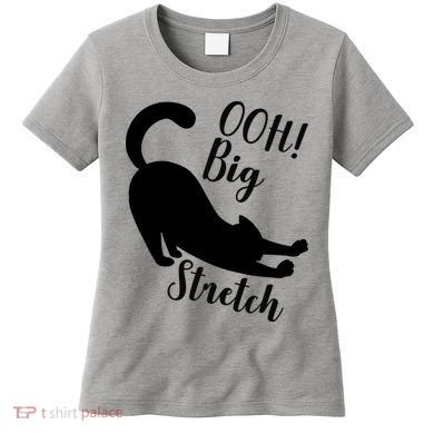 Big Stretch Funny Cat Lover Women's T-Shirt
