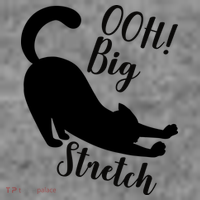 Big Stretch Funny Cat Lover Women's T-Shirt thumb 6