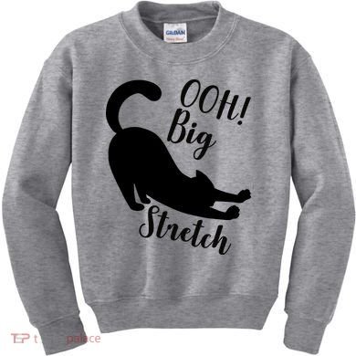 Big Stretch Funny Cat Lover Kids Sweatshirt