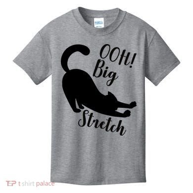 Big Stretch Funny Cat Lover Kids T-Shirt