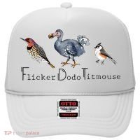 Bird Subtle Flicker Dodo Titmouse Hat thumb 0
