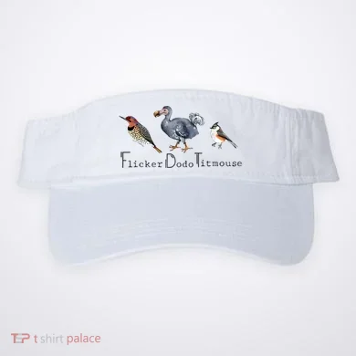 Visor
