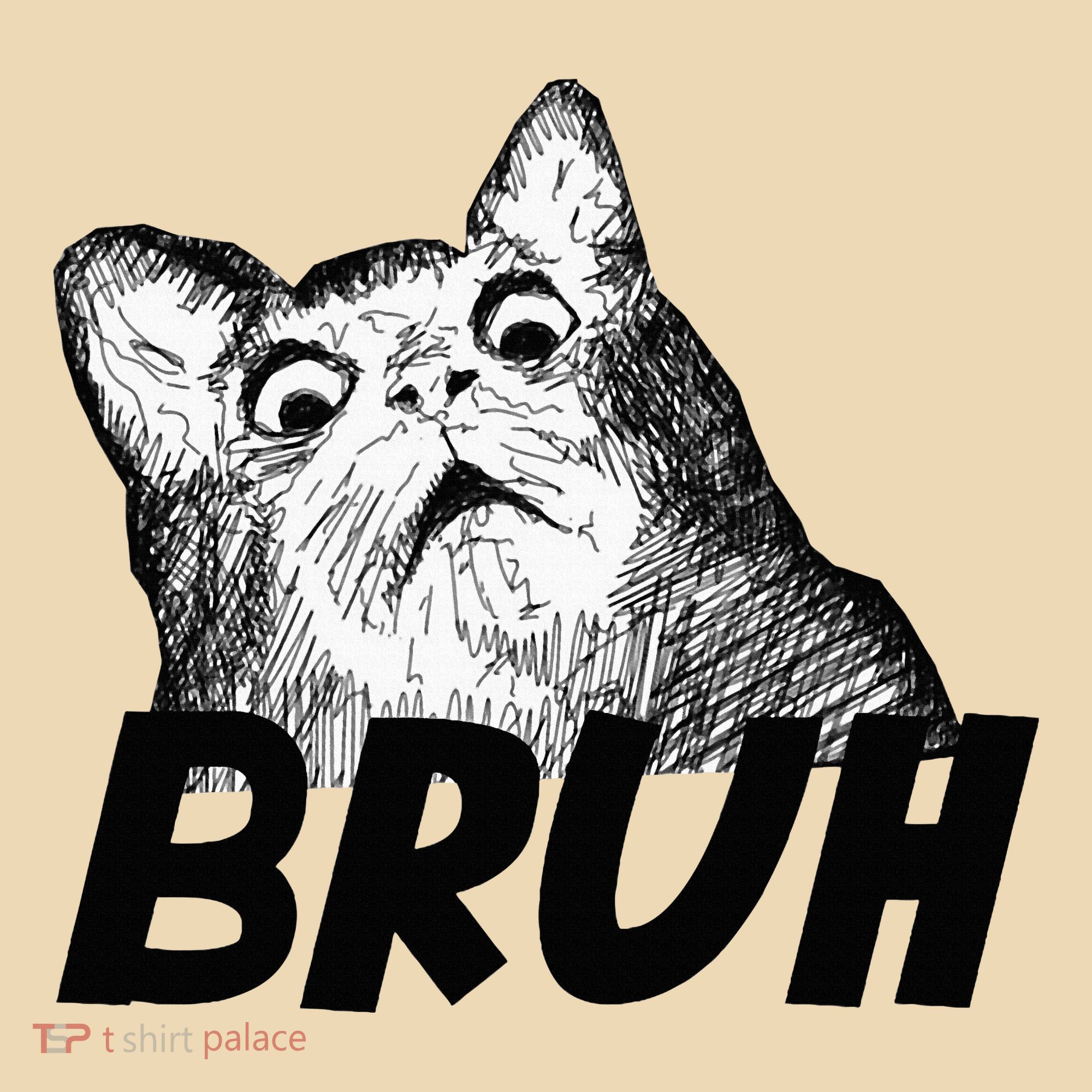 Bruh Shocked Gasp Cat Tote Bag