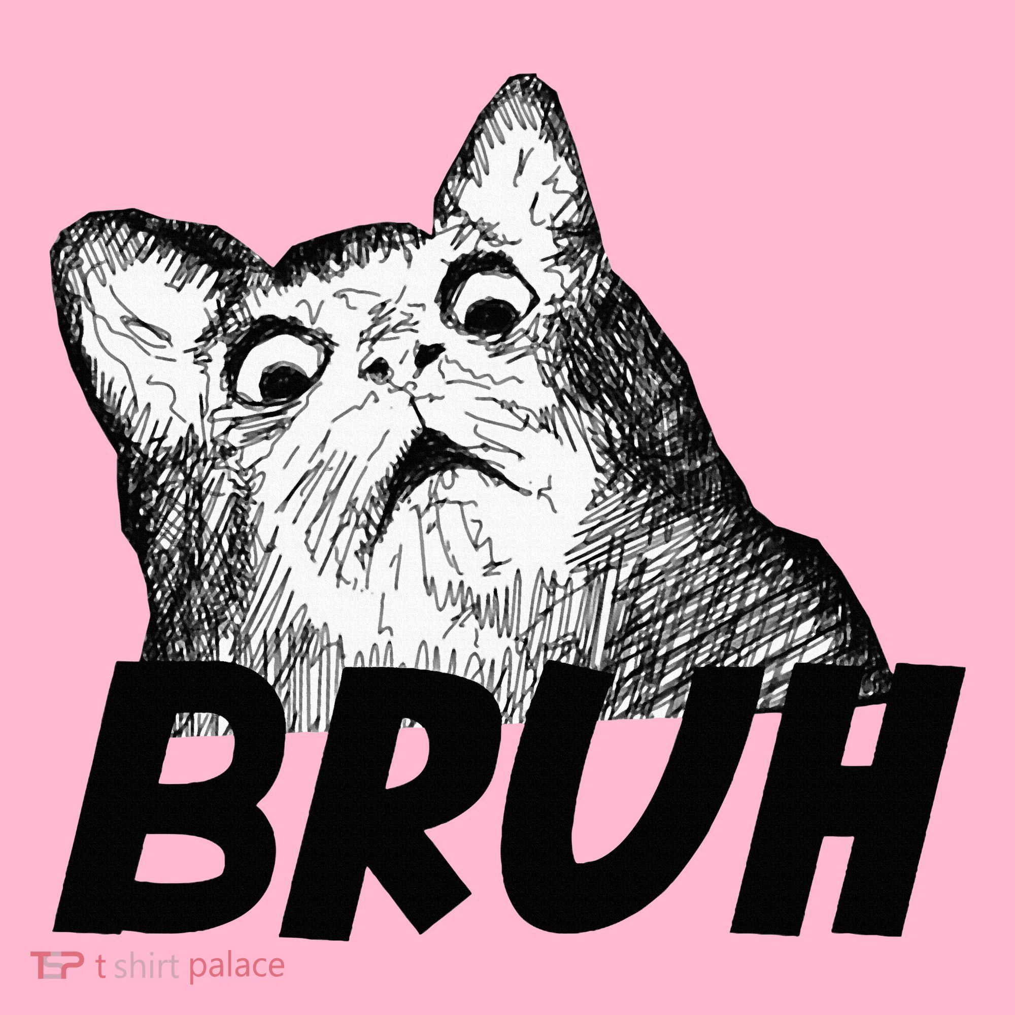 Bruh Shocked Gasp Cat Coaster
