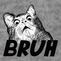 Bruh Shocked Gasp Cat Toddler Hoodie thumb 2
