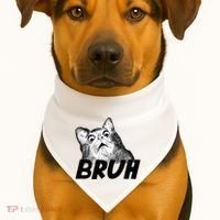 Bruh Shocked Gasp Cat USA-Made Doggie Bandana thumb 1