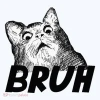 Bruh Shocked Gasp Cat Women's T-Shirt thumb 6