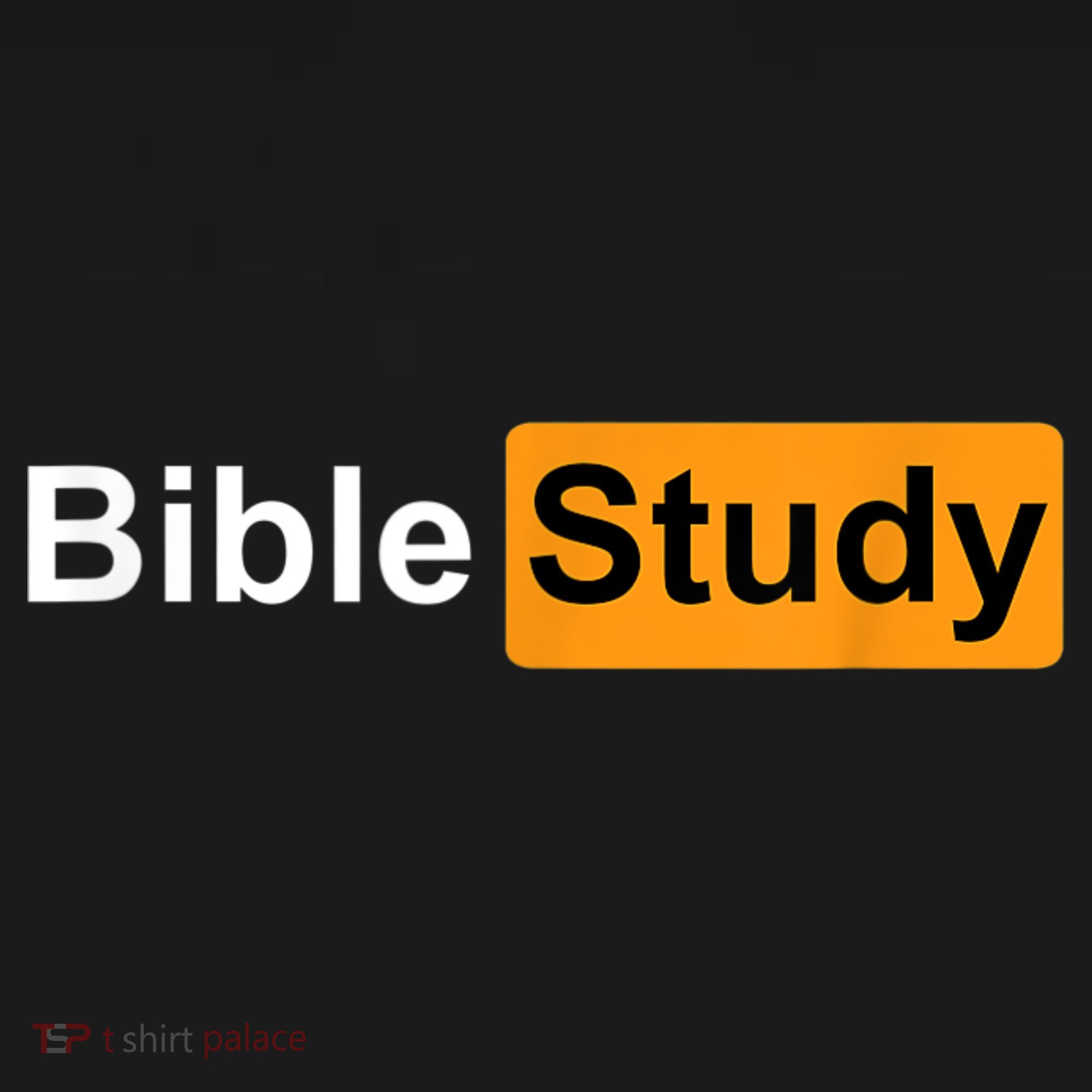 Bible Study Hub Logo Funny Sarcastic Adult Humor T-Shirt