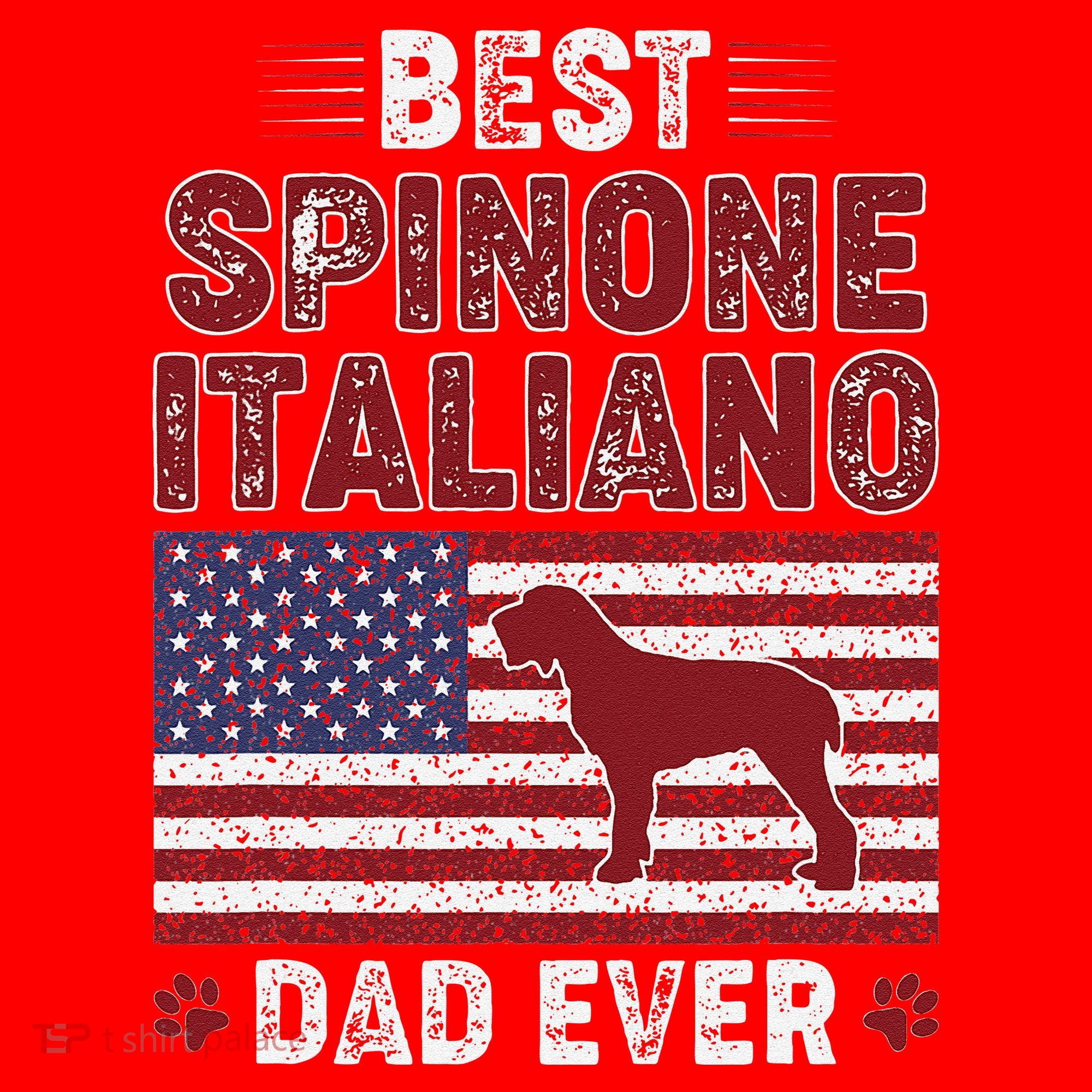 Best Spinone Italiano Dad Ever American Flag Dog Dad Santa Hat