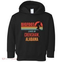 Bigfoot Sighting In Crenshaw Alabama Toddler Hoodie thumb 0