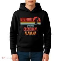 Bigfoot Sighting In Crenshaw Alabama Kids Hoodie thumb 4