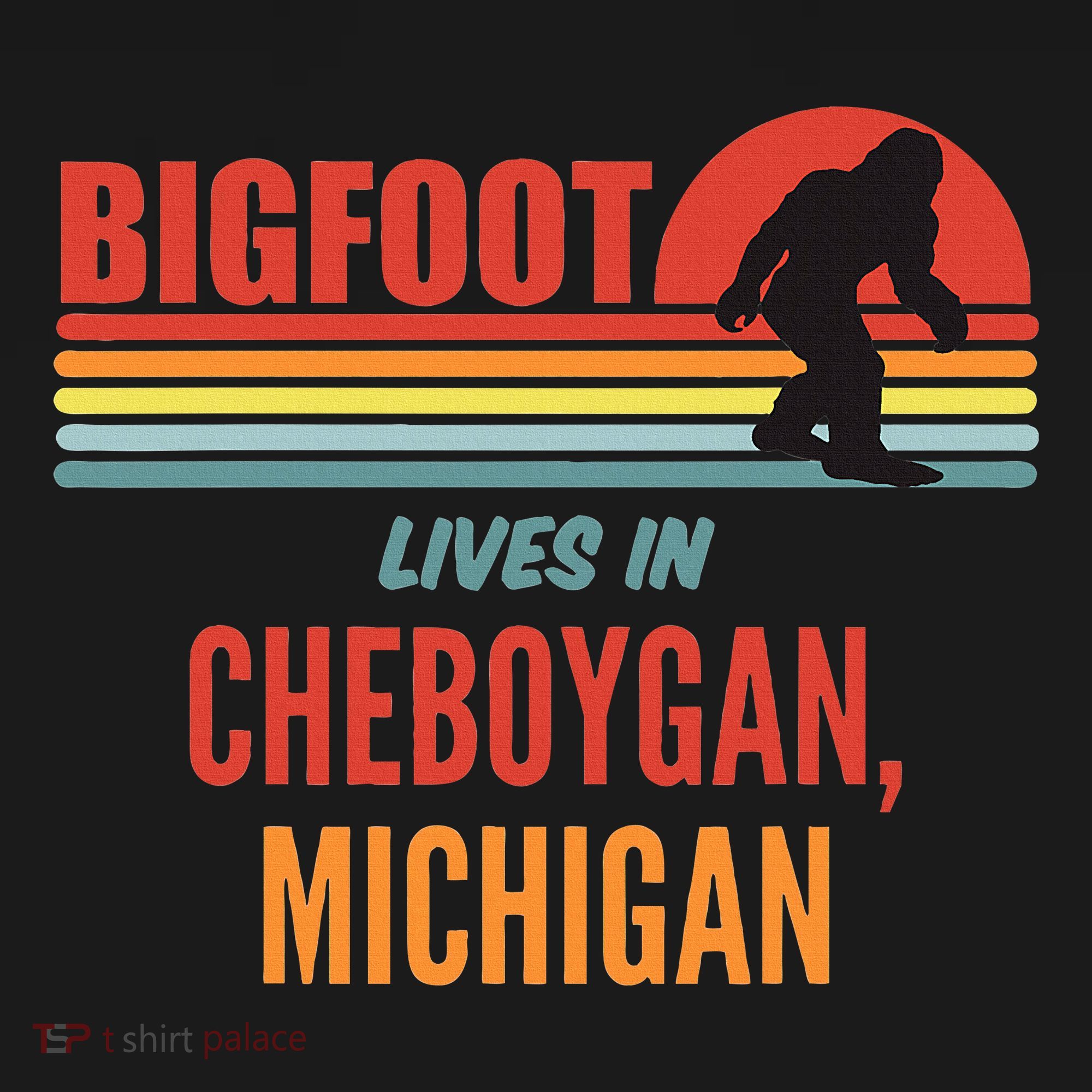Bigfoot Sighting In Cheboygan Michigan Women's Hoodie