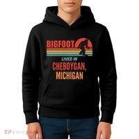 Bigfoot Sighting In Cheboygan Michigan Kids Hoodie thumb 4