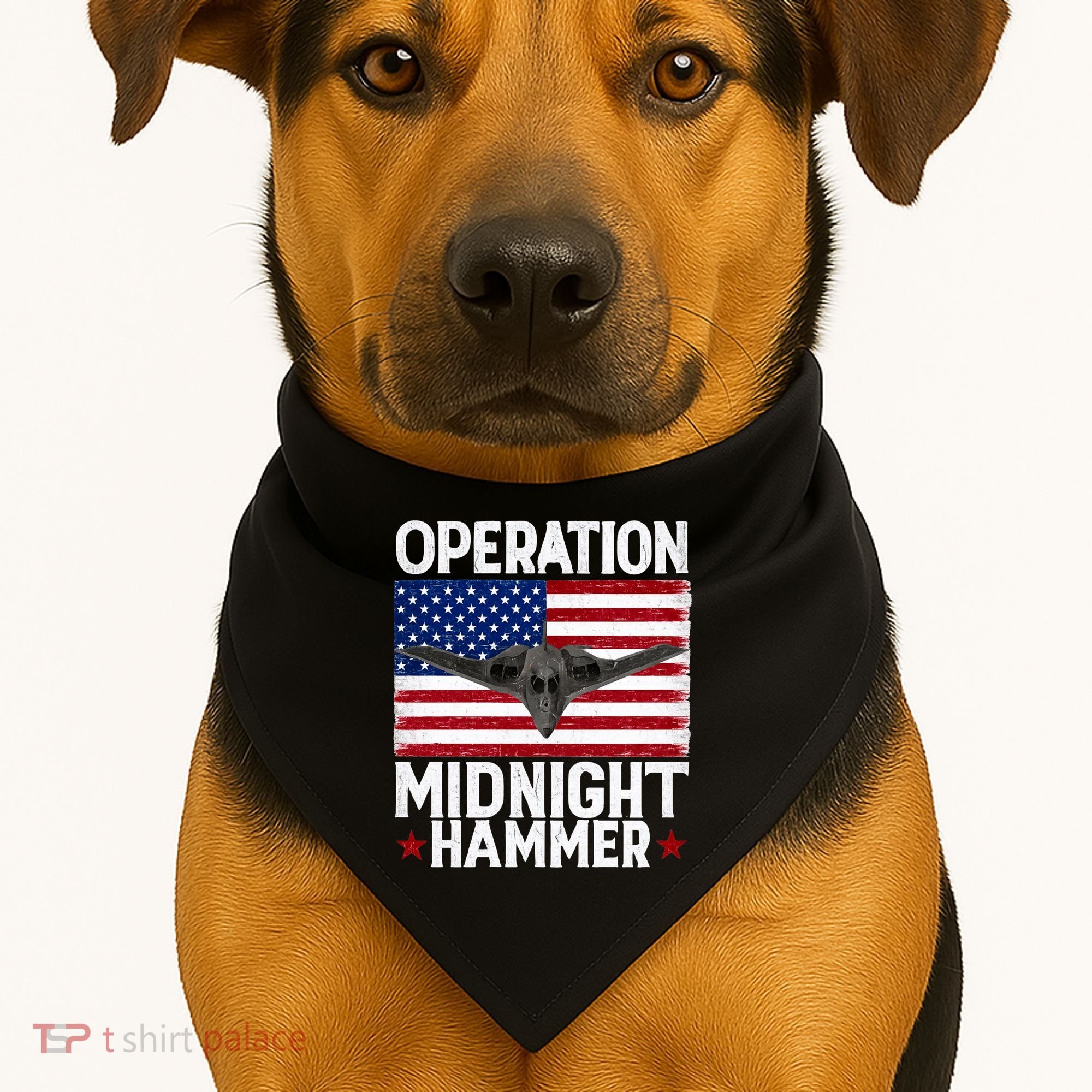 B-2 Stealth Jet Operation Midnight Hammer American Flag USA-Made Doggie Bandana