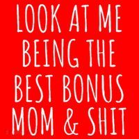 Bonus Step Mom Mothers Day From Stepdaughter Stepson Stepmom Santa Hat thumb 1
