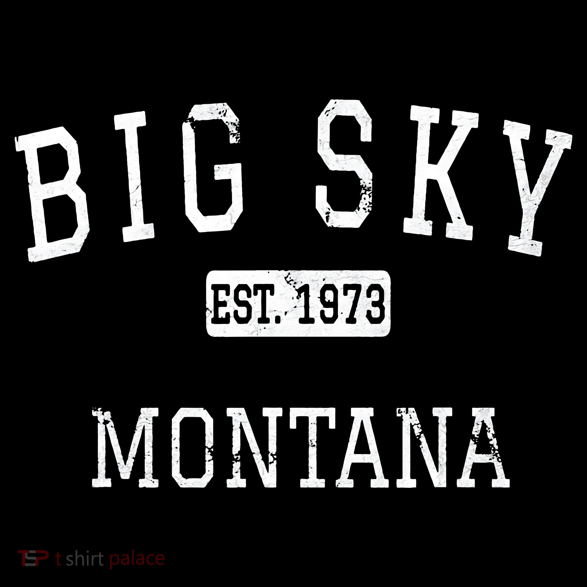 Big Sky Montana MT Vintage T-Shirt