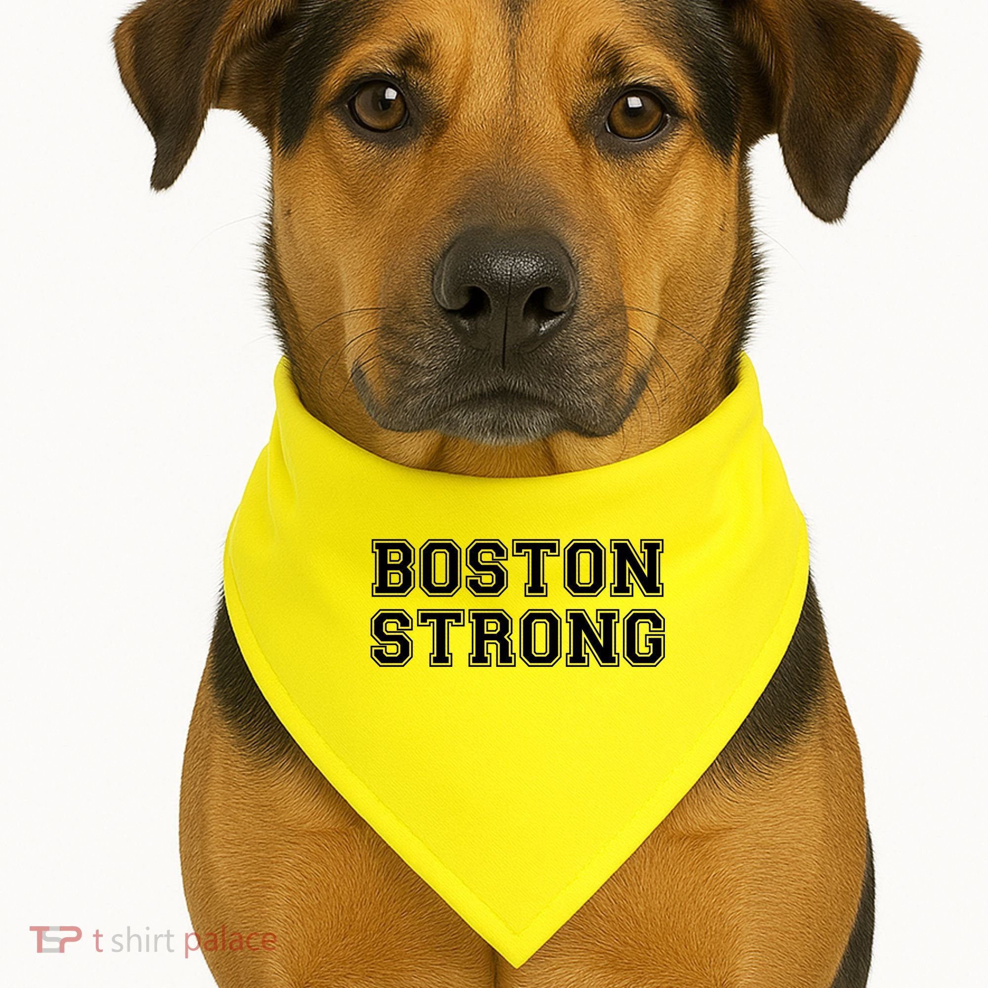 Boston Strong Marathon Running USA-Made Doggie Bandana