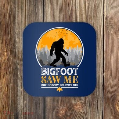 Bigfoot Saw Me But Nobody Believes Him | Sasquatch Coaster