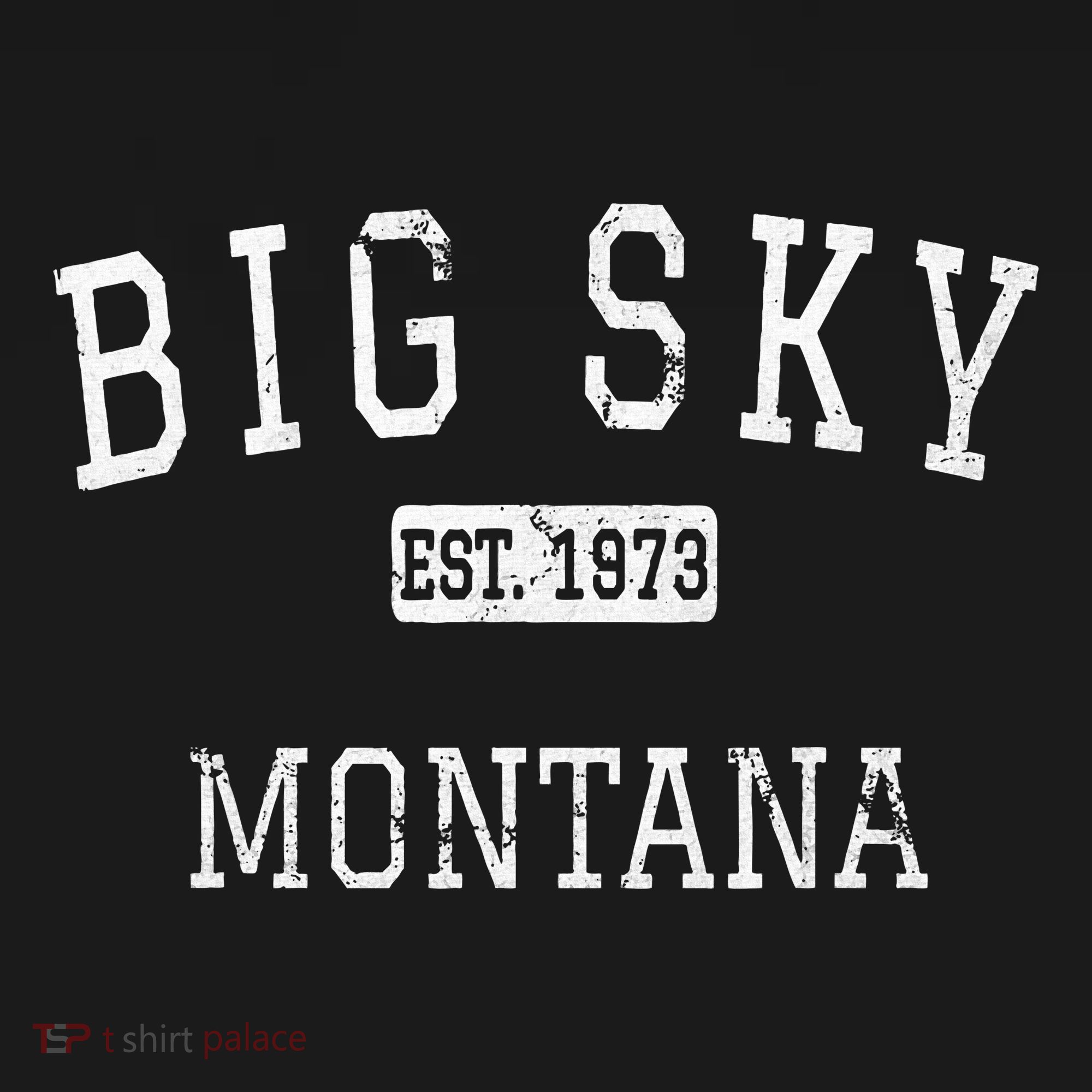 Big Sky Montana Mt Vintage T-Shirt