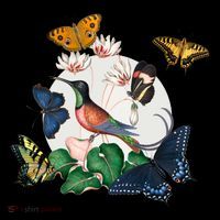 Butterfly Spring Nature Women's T-Shirt thumb 6
