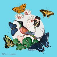 Butterfly Spring Nature Button thumb 1