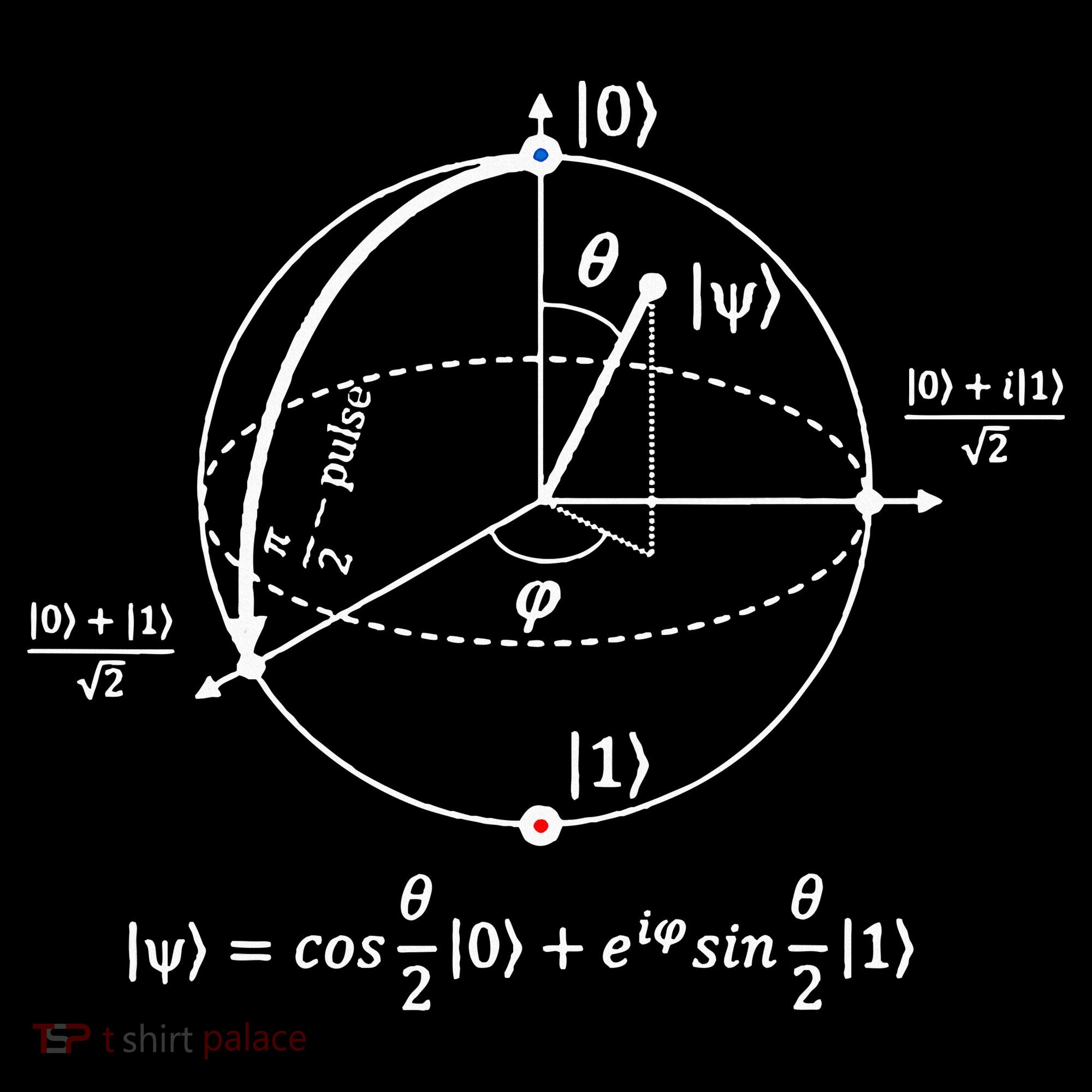 Bloch Sphere Of Quantum Information Physics And Science Ornament