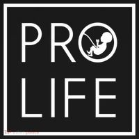 Baby Silhouette Profunny Giftlife Minimalist March For Life Gift Cool Gift Ornament thumb 1