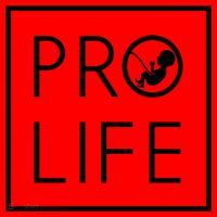 Baby Silhouette Profunny Giftlife Minimalist March For Life Gift Cool Gift Santa Hat thumb 1
