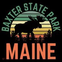 Baxter State Park Maine Moose Hiking Retro Sunset Ornament thumb 1