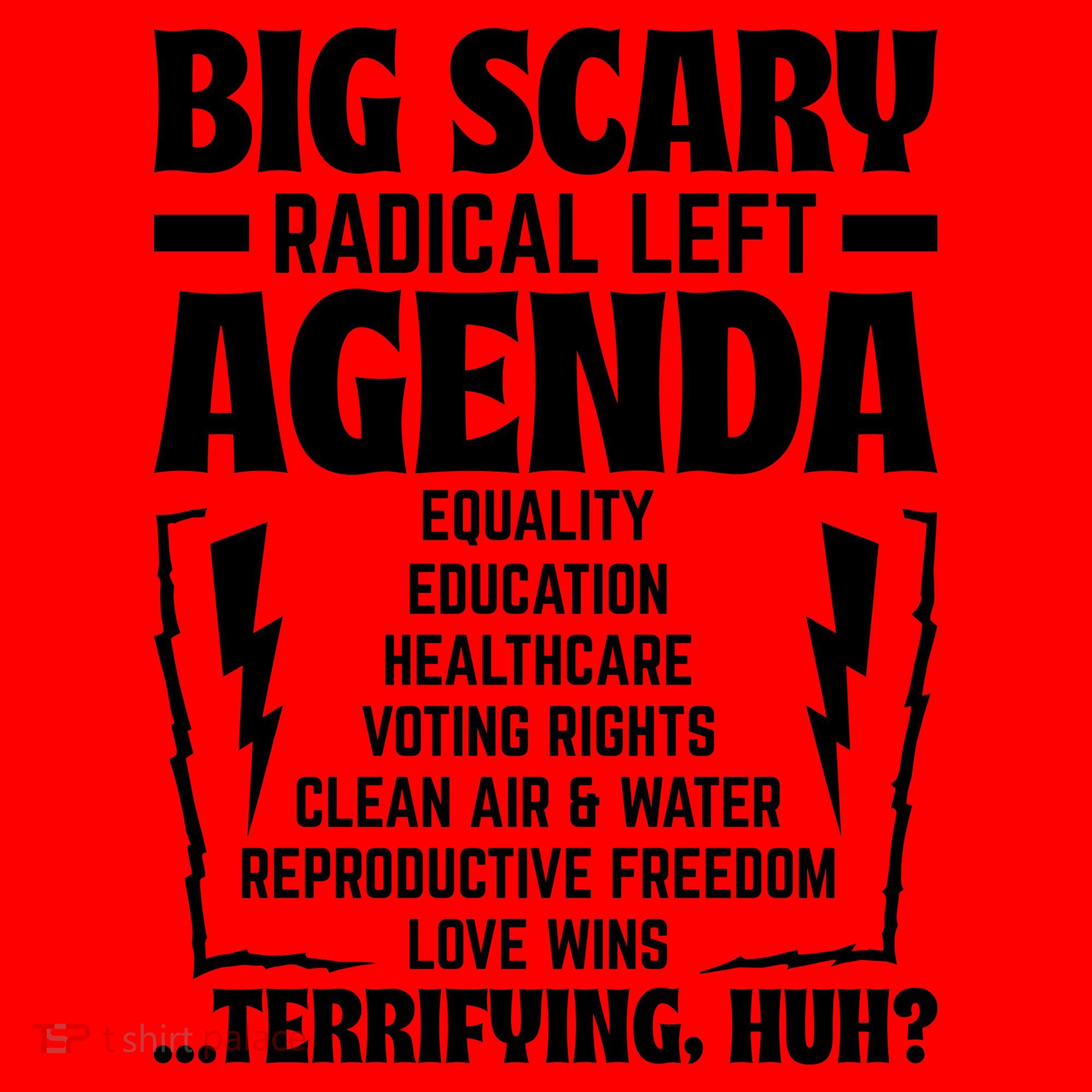 Big Scary Radical Left Agenda Social Justice Activist Santa Hat