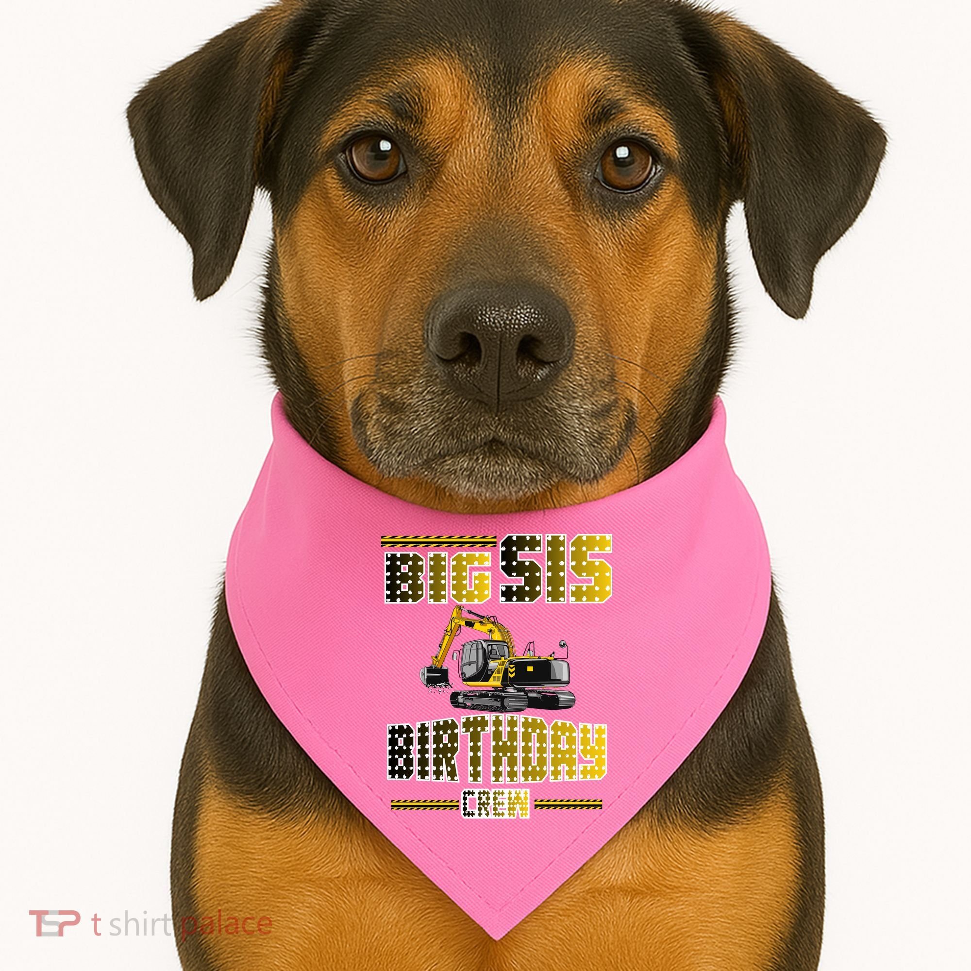 Big Sis Sister Birthday Crew Party Excavator USA-Made Doggie Bandana