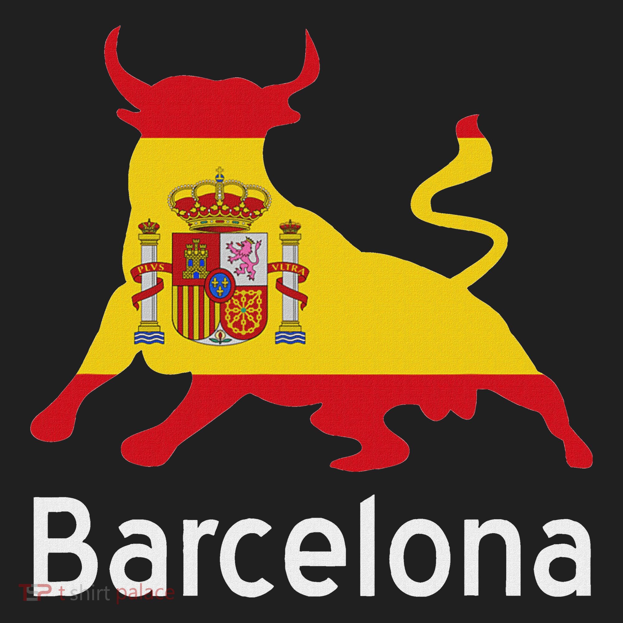 Barcelona Spain Spanish Bullfighting Beanie