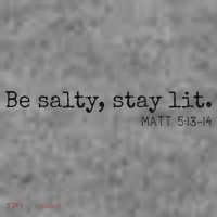 Be Salty Stay Lit Matthew 513 14 Christian Religious Faith Toddler Hoodie thumb 2