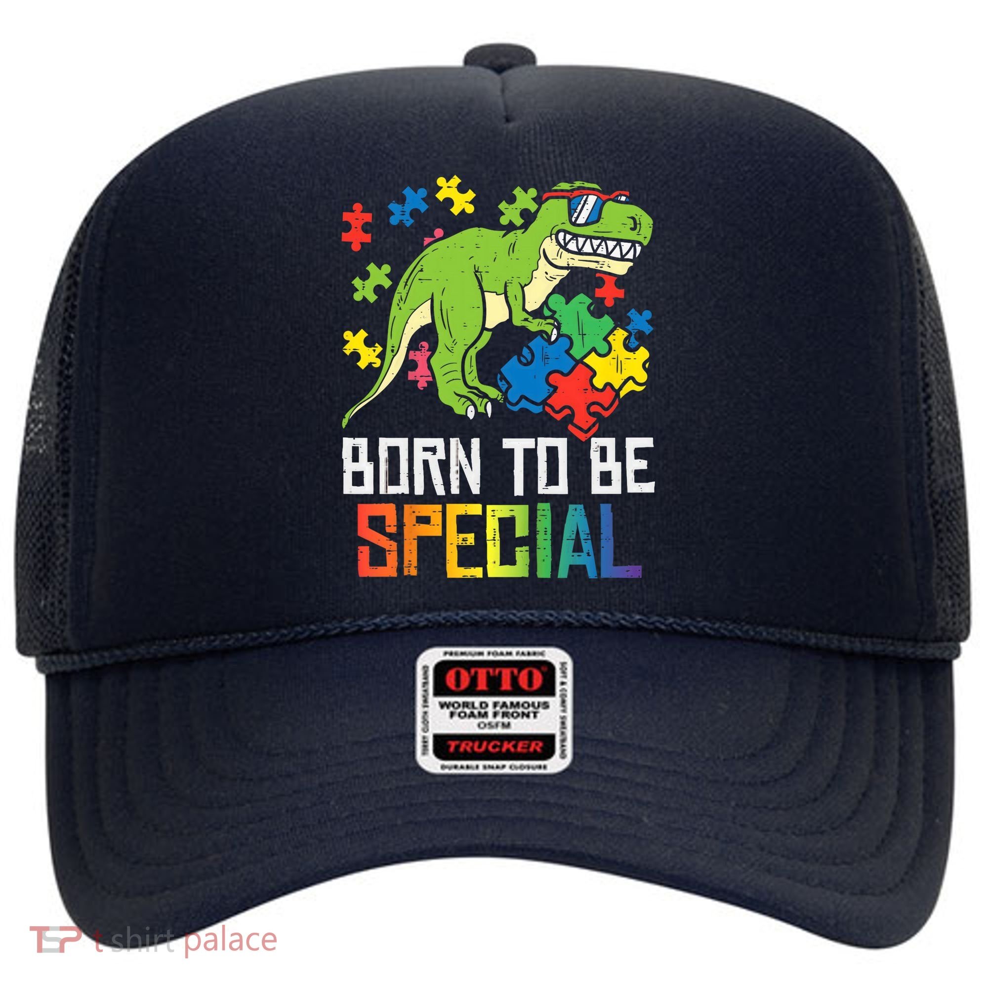 Born Special Trex Puzzle Dino Boy Autism Awareness Hat