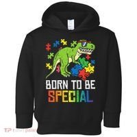 Born Special Trex Puzzle Dino Autism Awareness Toddler Hoodie thumb 0