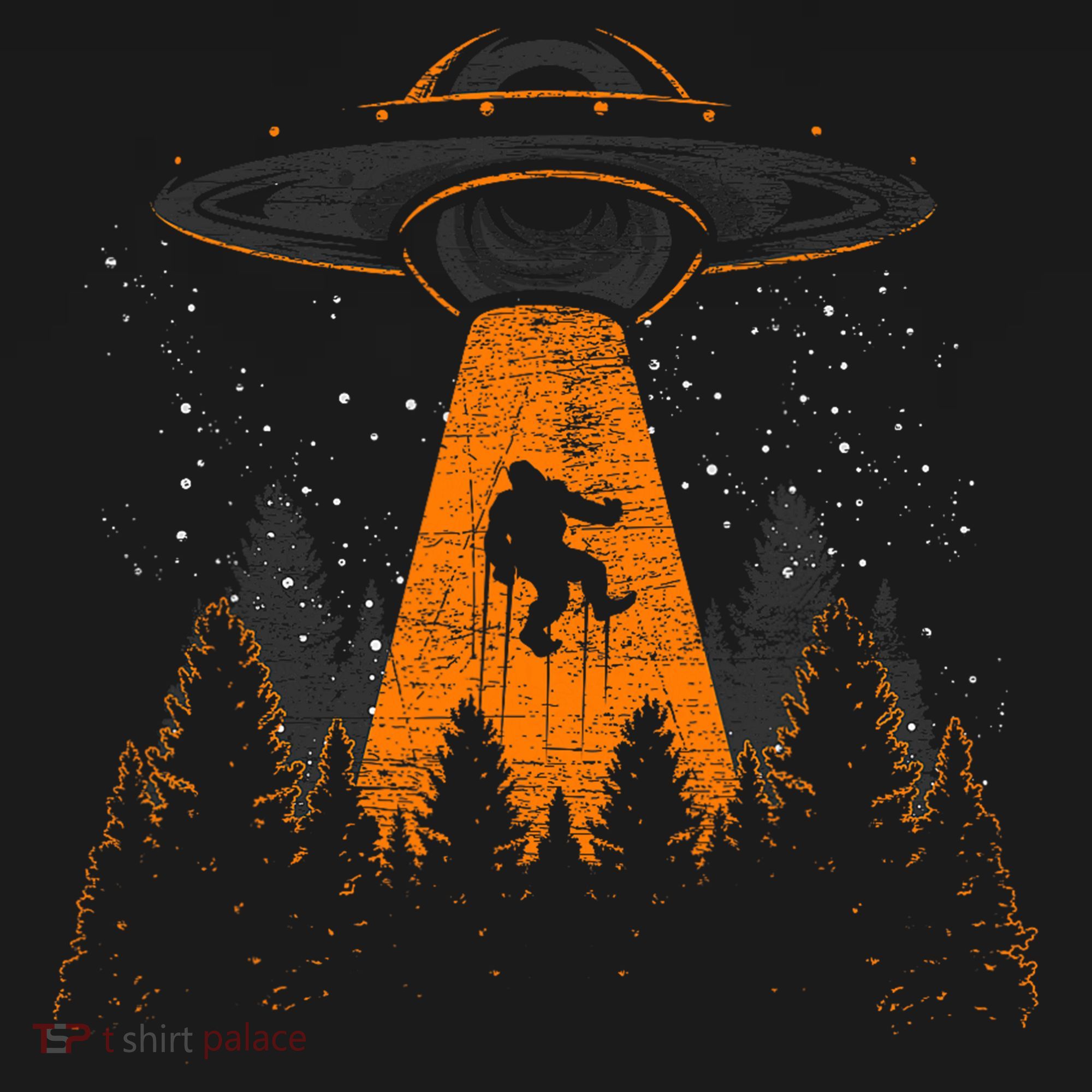Bigfoot Sasquatch Ufo Alien Abduction Yeti Cryptid Bigfoot Women's Hoodie