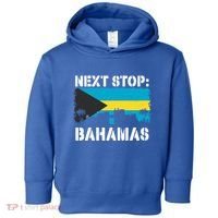 Bahamas Summer Vacation Trip Next Stop Vacay Vibes Souvenir Gift Toddler Hoodie thumb 0