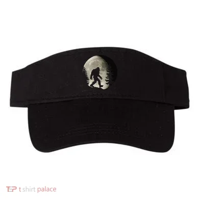 Visor