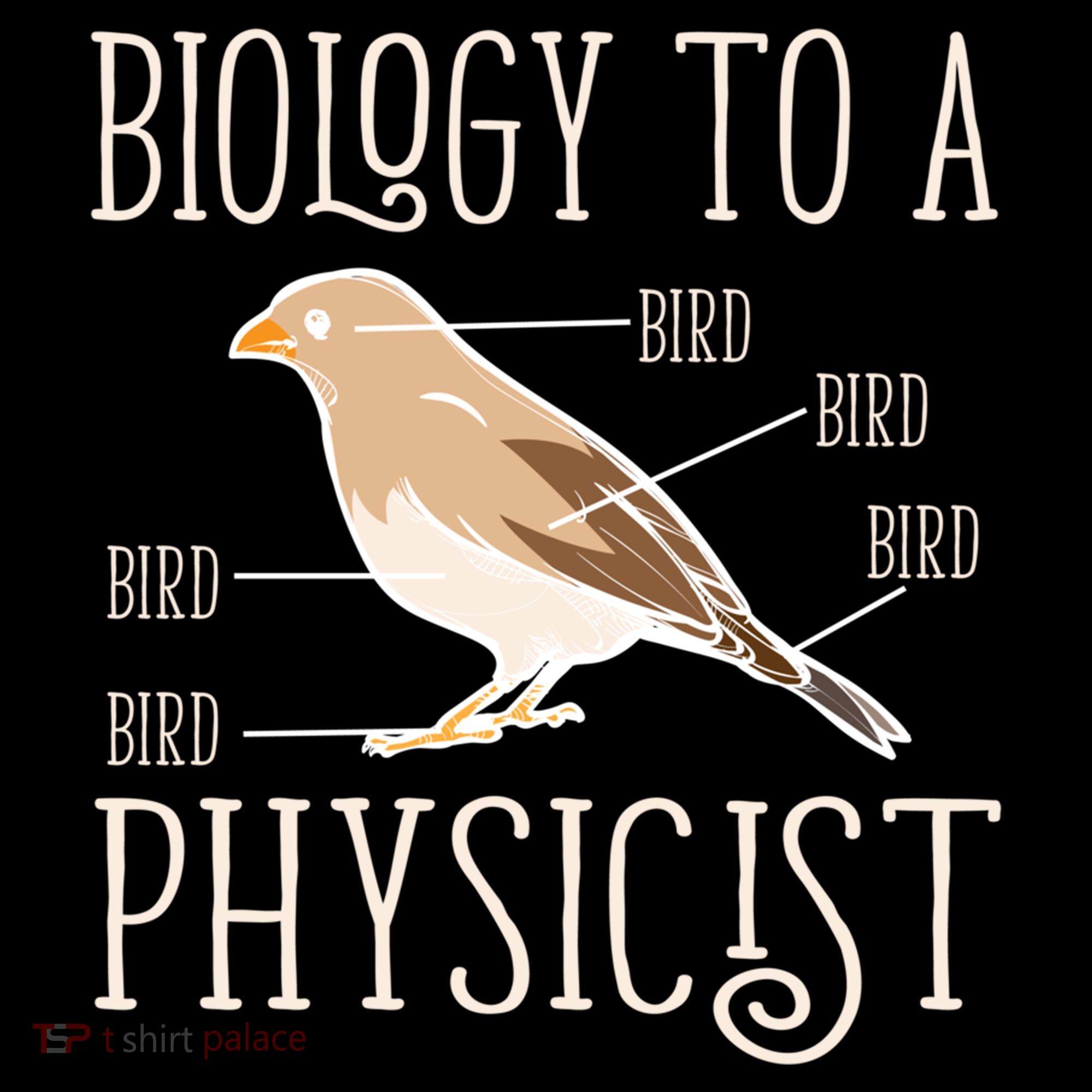 Biology To A Physicist Funny Physics Funny Gift Women's Hoodie
