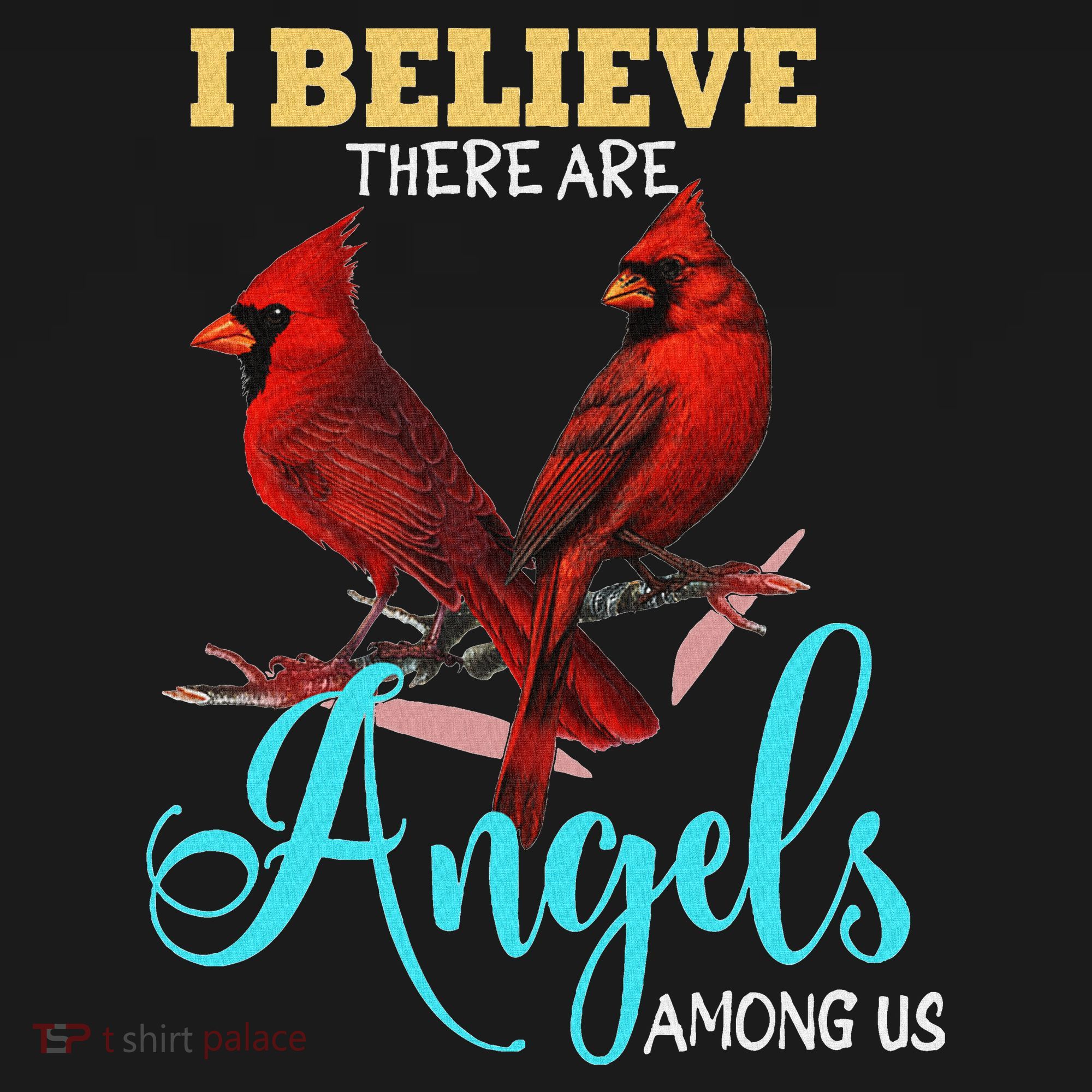 Believe There Are Angels Among Of Us Cardinal Bird Lovers Women's Hoodie