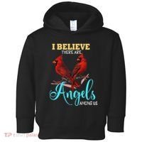 Believe There Are Angels Among Of Us Cardinal Bird Lovers Toddler Hoodie thumb 0