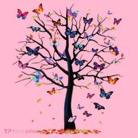 Butterfly Tree Beautiful Coaster thumb 2
